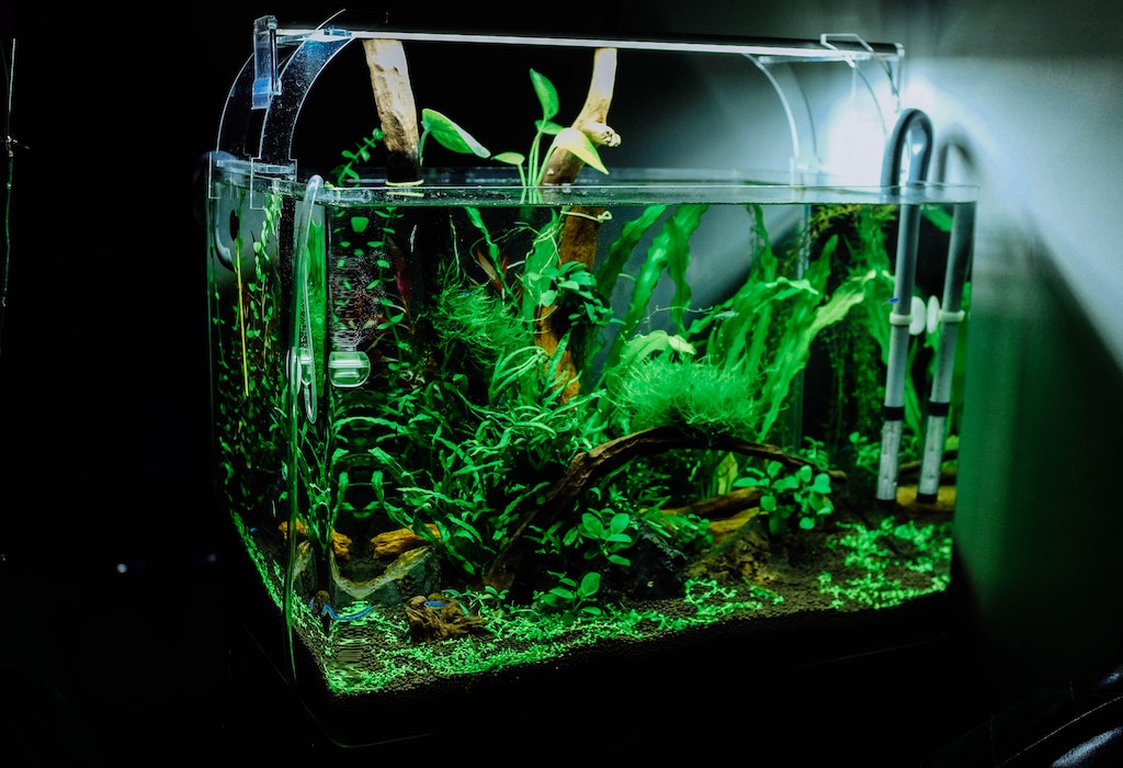 Proizvodstvo akvariumov